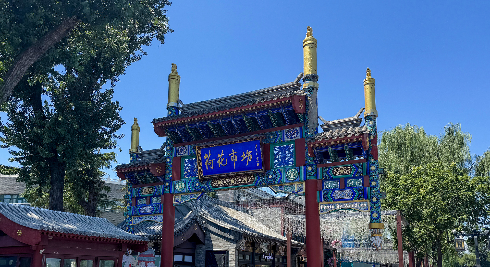 荷花市场